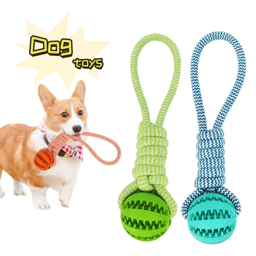 Chewable Treat-Dispensing Dog Balls