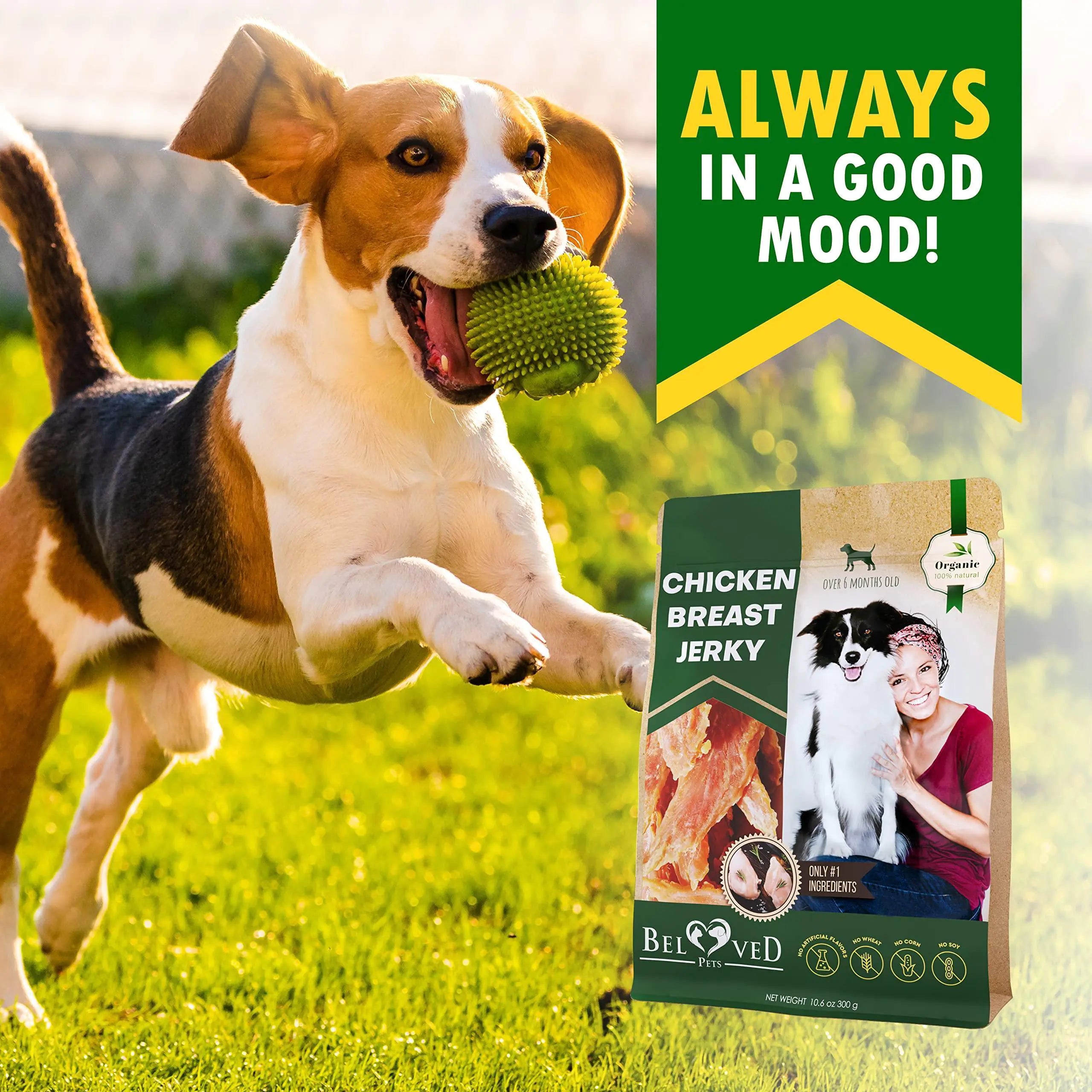 Organic Chicken Jerky Dog Snacks 300g